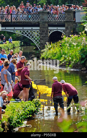 Buxton , Derbyshire, Royaume-Uni. 14 juillet 2018. Une foule attend la déclaration de la gagnante de la course de canards sur une rivière Wye plutôt morose au cours de la ville et du Festival annuel vinaigrette Banque D'Images