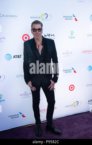 Malibu, USA. Jan 31, 2018. Chaz Dean assiste à Holly Robinson Peete's 20th Annual Gala à DesignCare domaine privé à Malibu le 14 juillet 2018 à Malibu, Californie Crédit : l'accès Photo/Alamy Live News Banque D'Images