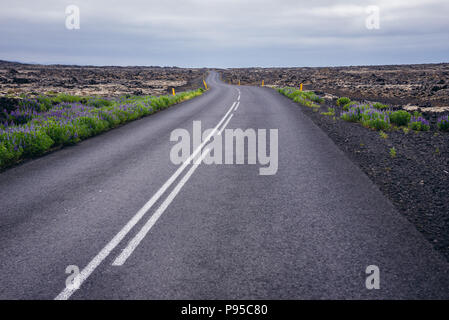 425 route des champs de lave recouverts de mousse sur un Reykjanesskagi - péninsule du Sud au sud-ouest de l'Islande Banque D'Images