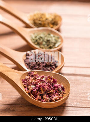 Cuillères en bois avec différentes herbes pour perfusion, style rustique, sur fond de bois. Banque D'Images