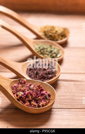 Cuillères en bois avec différentes herbes pour perfusion, style rustique, sur fond de bois. Banque D'Images