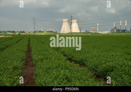 Haïfa, Israël - Mars 29, 2018 : industriel raffinerie à Haïfa, Israël Banque D'Images