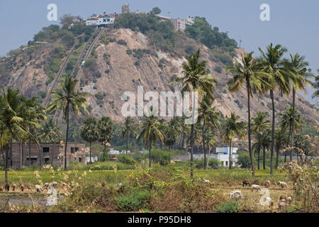 Vue sur le temple de Palani, célèbre dans le sud de l'Inde et dédié à la divinité hindoue Murugan qui est vénéré localement Banque D'Images