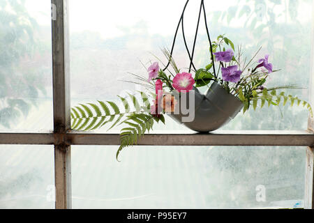 Activités de loisirs à recycler des déchets à faire vase à fleurs pour décoration home, daisy colorés dans de l'eau tuyau sur fond blanc Banque D'Images