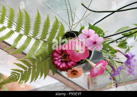 Activités de loisirs à recycler des déchets à faire vase à fleurs pour décoration home, daisy colorés dans de l'eau tuyau sur fond blanc Banque D'Images