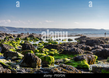 Roches exposées à Tregardock Beach pendant l'été 2018 à marée basse, North Cornwall, Cornwall, Angleterre, Royaume-Uni Banque D'Images