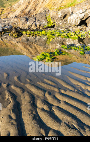 Tregardock Beach sea sand ripples durant la marée basse de l'été 2018, plage isolée hors des sentiers battus, North Cornwall, Cornwall, England, UK Banque D'Images