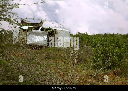 S'est écrasé, un accident s'est écrasé et a roulé voiture blanche dans la forêt. Banque D'Images