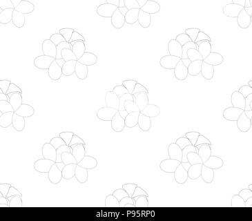 Plumeria Frangipani, sur fond blanc transparent. Vector Illustration. Illustration de Vecteur
