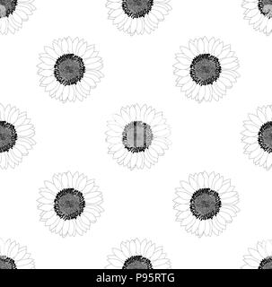 Transparente de tournesol sur fond blanc. Vector Illustration. Illustration de Vecteur