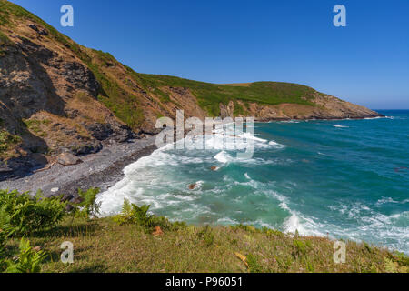 Avis de nare head à Cornwall uk Banque D'Images