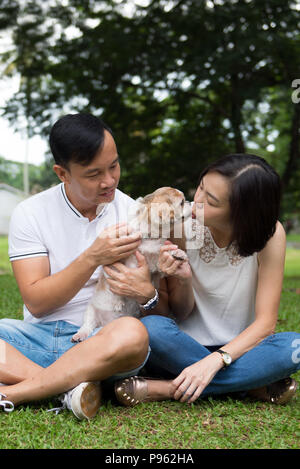 Quel beau couple asiatique avec chien shih tzu Banque D'Images