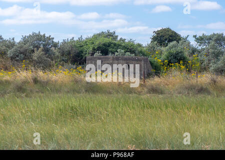 La Seconde Guerre mondiale. de Gibraltar Point au tambourin Comité permanent de la défense nationale militaire dans la réserve naturelle près de Skegness, dans le Lincolnshire, Royaume-Uni Banque D'Images