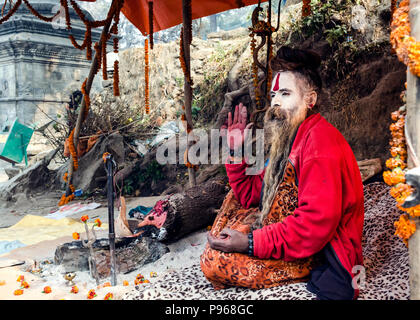 Sadhu qui pose pour les dévots pendant la traditionnelle fête hindoue Maha Shivaratri à proximité de temple de Pashupatinath à Katmandou, Népal Banque D'Images