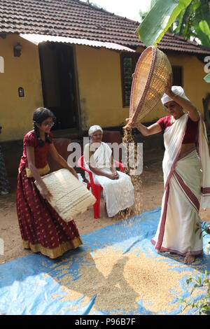Transformation de riz décortiqué;dessécher naturellement sous le soleil,puis souffle loin ceux qui sont endommagés en utilisant muram,au Kerala Banque D'Images