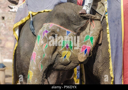 Visage d'un éléphant peint Banque D'Images