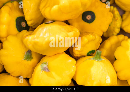 Marron jaune. Citrouilles coloré. Patissons lumineux sur le marché. Patissons jaunes. backgrount. Banque D'Images
