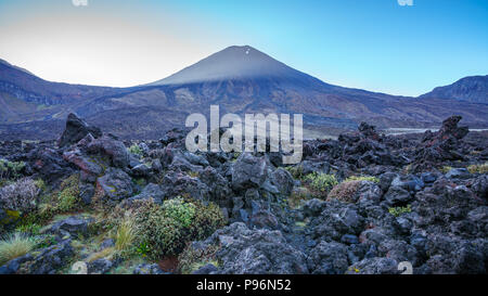 La randonnée alpine tongariro crossing, grassand Rocks, mont ngauruhoe cône au lever du soleil, Nouvelle-Zélande Banque D'Images