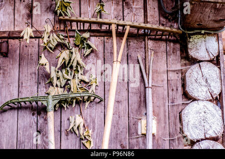 Mur en bois de la hutte rurale avec des outils agricoles. Vieux râteaux. Les outils agricoles de l'équipement. Banque D'Images