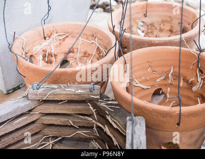 Ancien pot en terre cuite avec le fil de métal pour fixation sur l'armature dans le jardin.(Sélectionner focus) Banque D'Images