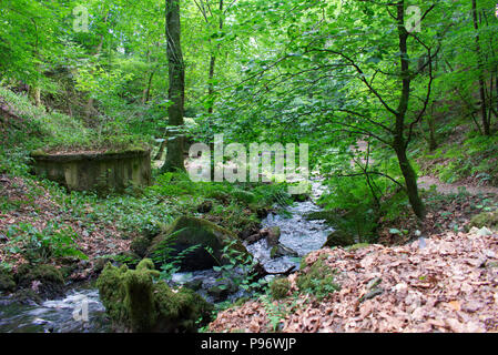 Canonteign Falls et lacs Teign Valley, Devon, Angleterre, Royaume-Uni Banque D'Images