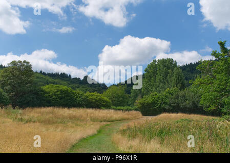 Canonteign Falls et lacs Teign Valley, Devon, Angleterre, Royaume-Uni Banque D'Images