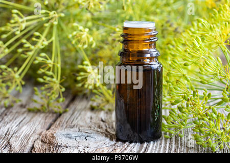 Une bouteille d'huile de graines d'aneth Anethum graveolens en fleurs fraîches avec des brindilles Banque D'Images