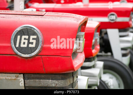 Le badge sur le couvercle du moteur d'un vieux rusty Massey Ferguson 165 tracteur rouge, avec une ligne rendez-vous d'autres tracteurs derrière Banque D'Images