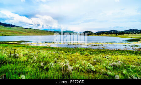 Lac Stump avec les collines et les terres d'herbe grande ouverte de la Nicola Valley le long de l'autoroute 5A, entre Merritt et Kamloops en belle BC Canada Banque D'Images