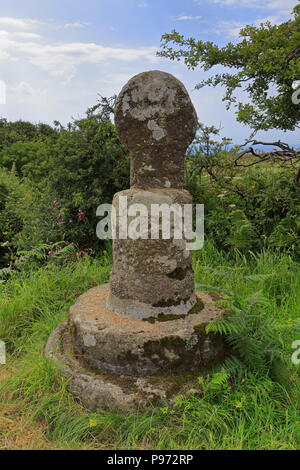 Boskenna Cross, ancien calvaire à St Buryan près de Penzance, Cornwall, England, UK. Banque D'Images