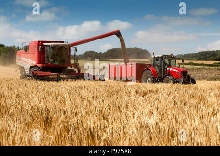 Skeeby, North Yorkshire, UK, le 15 juillet 2018. Une moissonneuse-batteuse à l'œuvre avec un début précoce de la récolte d'été très chaud sur une belle St Swithin's Day. Si le folklore est vrai le temps restera belle pour les 40 jours. Le Met Office prévoit pour le mois prochain que les températures continueront au-dessus de la moyenne, avec des périodes très chaudes possible à partir de la pluie persistante ou d'une douche. Credit : Andy Lovell/Alamy Live News Banque D'Images