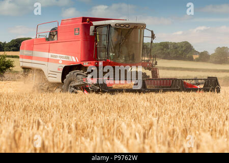 Skeeby, North Yorkshire, UK, le 15 juillet 2018. Une moissonneuse-batteuse à l'œuvre avec un début précoce de la récolte d'été très chaud sur une belle St Swithin's Day. Si le folklore est vrai le temps restera belle pour les 40 jours. Le Met Office prévoit pour le mois prochain que les températures continueront au-dessus de la moyenne, avec des périodes très chaudes possible à partir de la pluie persistante ou d'une douche. Credit : Andy Lovell/Alamy Live News Banque D'Images