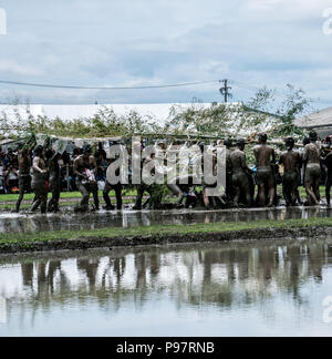 Au Japon, où le riz est considéré comme un don des dieux, la plantation est célébrée comme un événement sacré. N'Isobe Omita festival est organisé chaque année à proximité de sanctuaire d'Ise. Banque D'Images