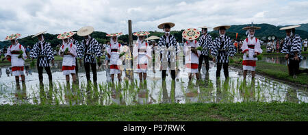 Au Japon, où le riz est considéré comme un don des dieux, la plantation est célébrée comme un événement sacré. N'Isobe Omita festival est organisé chaque année à proximité de sanctuaire d'Ise. Banque D'Images