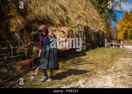 RAMET, Roumanie - 19 octobre 2017 : Une vieille femme transportant du foin pour le bétail dans la zone rurale de Transylvanie à l'automne Banque D'Images