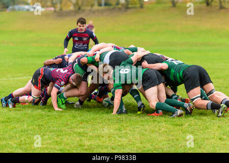 Inter-universitaire, les étudiants jouent sur les terrains de rugby à l'Université de Kent, Canterbury, Kent, England, UK. Banque D'Images