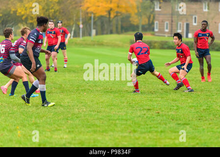 Inter-universitaire, les étudiants jouent sur les terrains de rugby à l'Université de Kent, Canterbury, Kent, England, UK. Banque D'Images