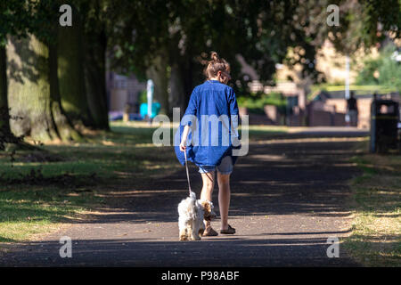 Northampton. Royaume-uni le 16 juillet 2018. Un matin humide et chaud pour le dog walkers Abington Park, la plupart s'en tenir à l'ombre pour soulager un peu de la chaleur. Credit : Keith J Smith./Alamy Live News Banque D'Images