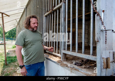 Deux tigres et un lion s'est échappé de leur cage dans le secteur Stit Biopark près de Klamos Village, la République tchèque, le 16 juillet 2018, mais ils sont restés dans la complexe clôturé et vétérinaires tranquillisés à la fois quelques heures plus tard. Personne n'a été blessé. La police a envoyé huit patrouilles et un hélicoptère à l'endroit et des agents de police armés de mitraillettes protégées l'entrée du parc. Les animaux ont été calmement couché au pied d'un pin dans le parc, tandis que tous les employés ont été tenus à l'intérieur du bâtiment. Sur la photo sont vus dans les cages, les animaux en face de cages est propriétaire du biopark Antonin Hni Banque D'Images