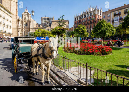 Valence, Espagne - Février 18, 2013 : White Horse and carriage attendent calmement pour touristes dans le centre-ville de Valence en journée de printemps ensoleillée près de garden Banque D'Images