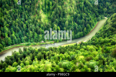 Vert forêt avec rivière, vue aérienne comme arrière-plan. Banque D'Images