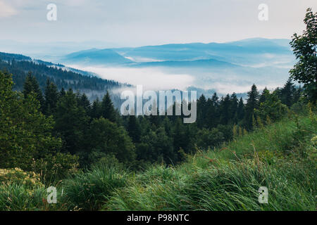 Vue sur une vallée forestière brumeuse pendant une journée encore en Bosnie-Herzégovine Banque D'Images