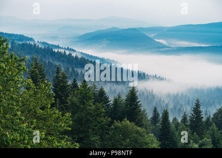 Vue sur une vallée forestière brumeuse pendant une journée encore en Bosnie-Herzégovine Banque D'Images