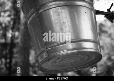 Wale bucket Banque D'Images