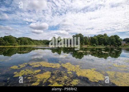 La partie supérieure du lac vu depuis les ruines d'un fort à Newstead Abbey dans le Nottinghamshire, Angleterre, Royaume-Uni Banque D'Images