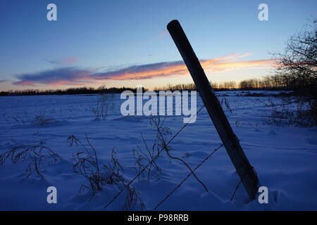 L'hiver des Prairies, Dusk sur l'étendue de neige , penché fence Banque D'Images