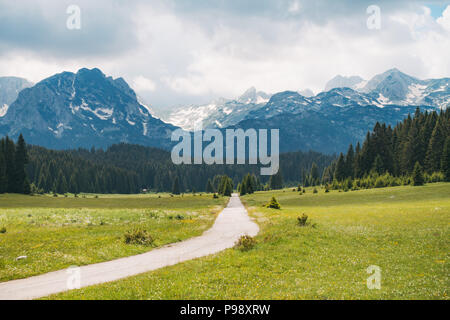 Une route de campagne passe par le vide dans les prés d'été Parc national de Durmitor, Monténégro Banque D'Images