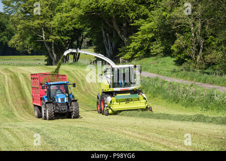 Ensilage à pleine vitesse sur l'Haddo Estate dans l'Aberdeenshire, en Écosse. Banque D'Images