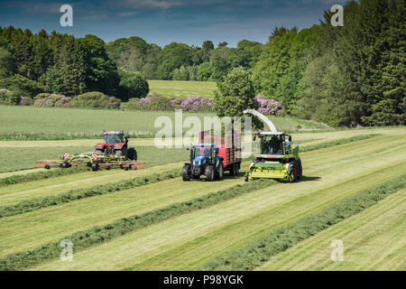 Ensilage à pleine vitesse sur l'Haddo Estate dans l'Aberdeenshire, en Écosse. Banque D'Images