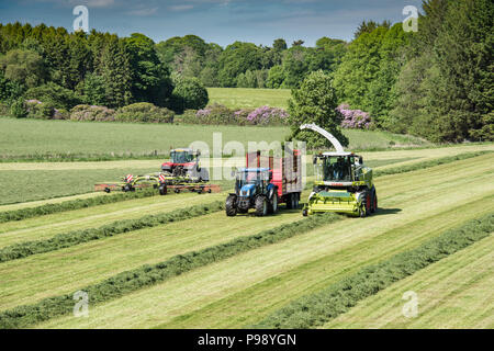 Ensilage à pleine vitesse sur l'Haddo Estate dans l'Aberdeenshire, en Écosse. Banque D'Images